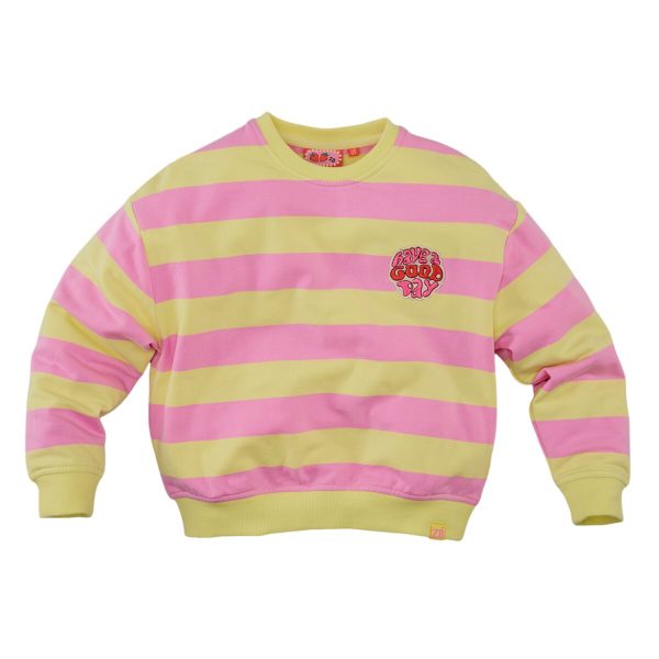 z8kidss250037devanie-32684_big_image Z8 - Sweater Devanie