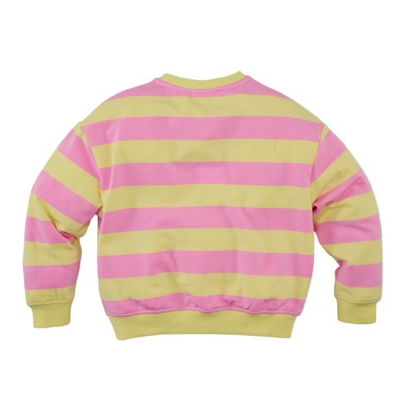 z8kidss250038devanie-back-32681_big_image Z8 - Sweater Devanie